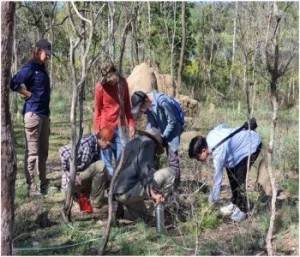 adminuploadimage_1585238722_2199