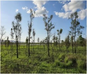 adminuploadimage_1585238722_5910