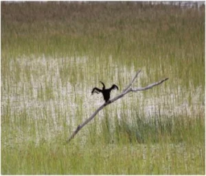 adminuploadimage_1585238722_9325