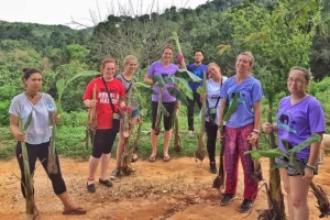 Oceans 2 Earth Volunteers: The New Way to Travel