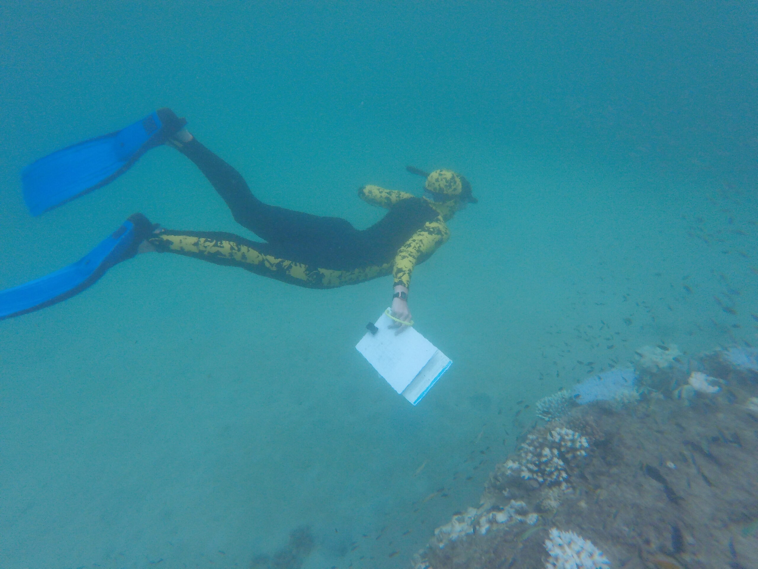 Reef & Rainforest Adventure