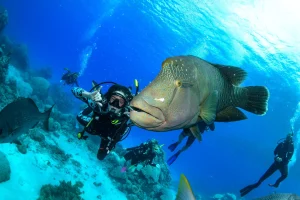 Oceans-2-Earth_Volunteers_Eco-Expedition_Families_Groups-5-scaled