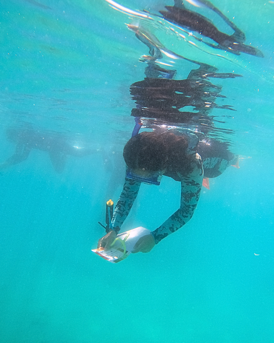 Reef & Rainforest Adventure