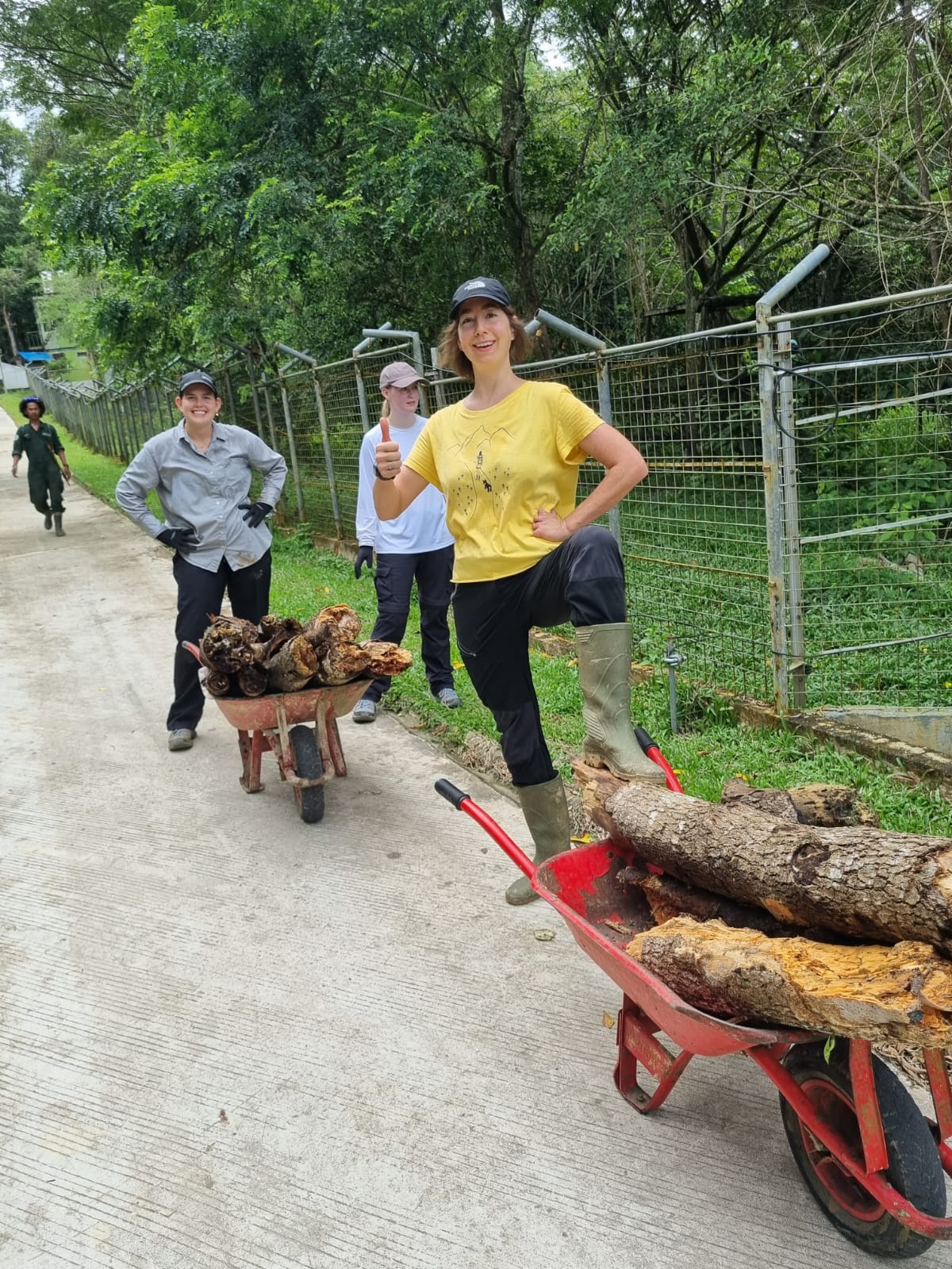 Orangutan And Sun Bear Conservation