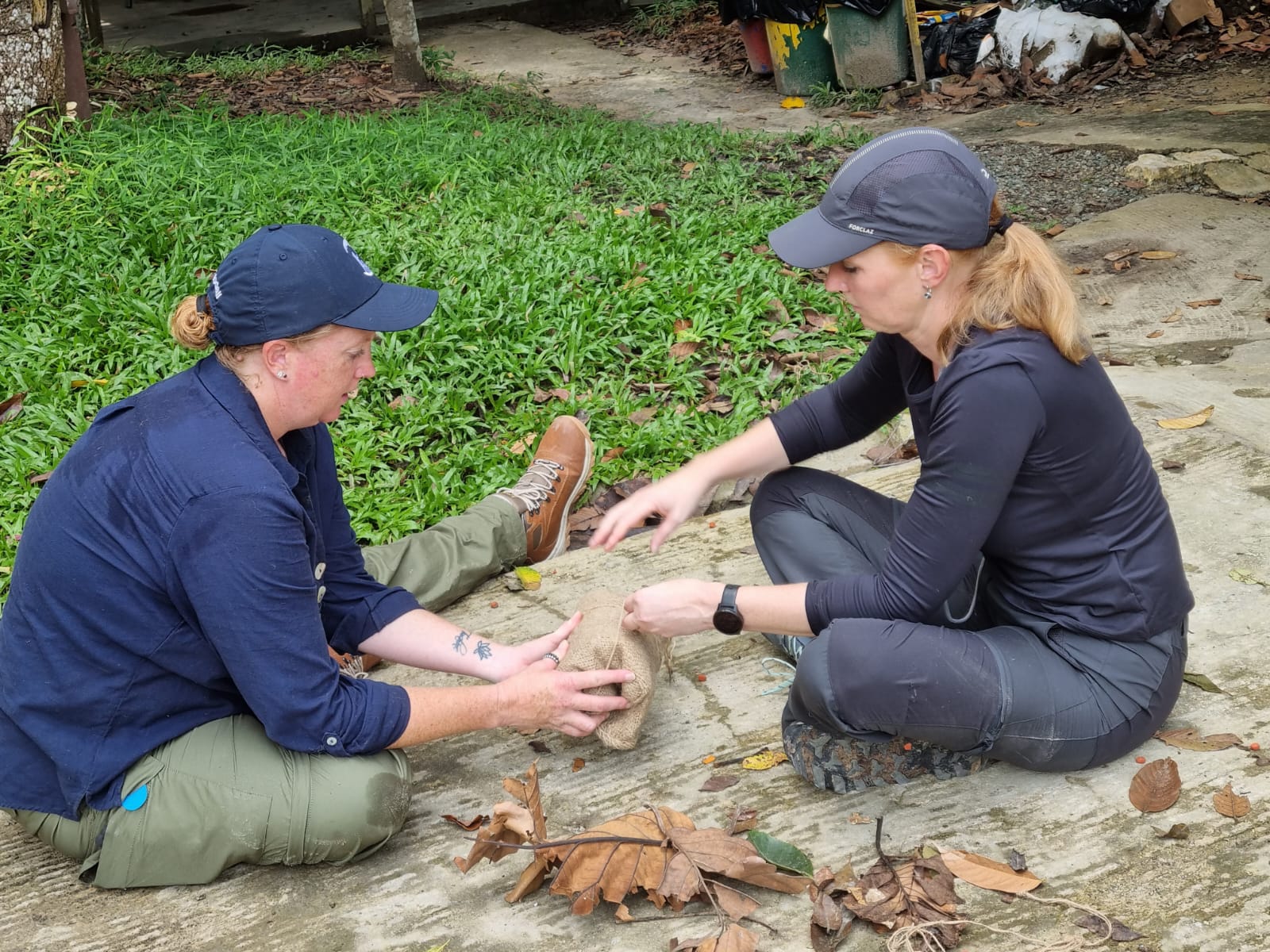Orangutan And Sun Bear Conservation