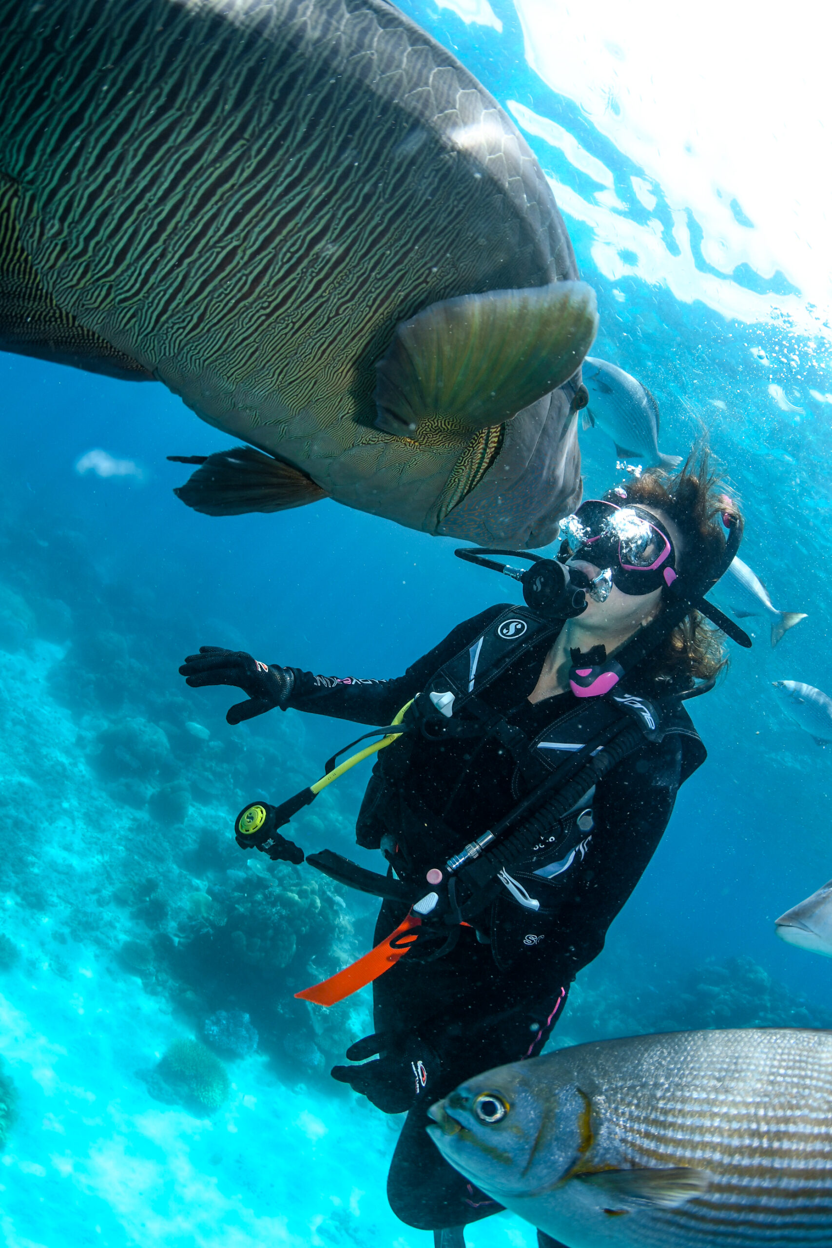 Great Barrier Reef Marine Conservation