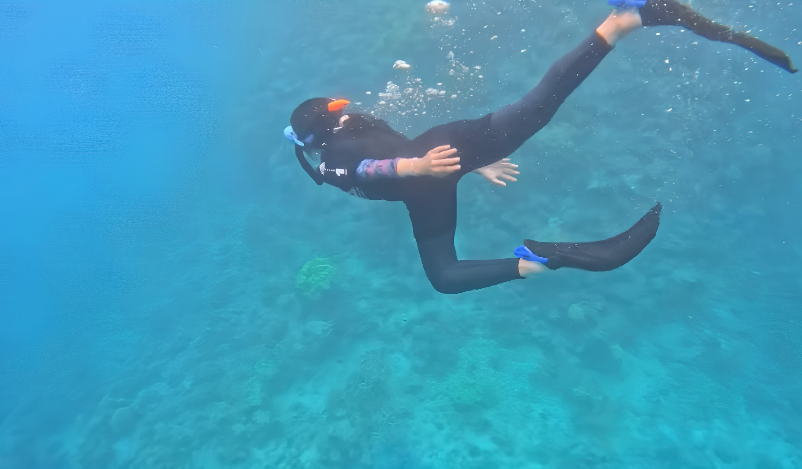 Great Barrier Reef Marine Conservation