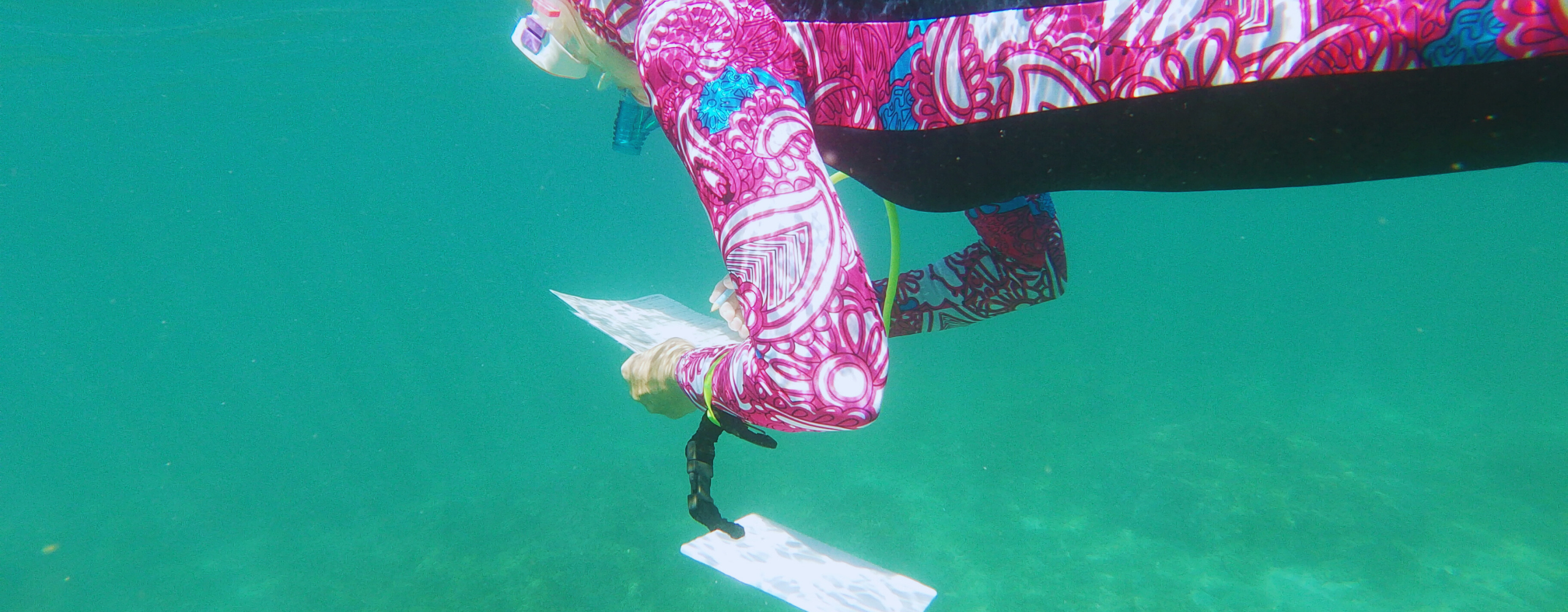 Reef & Rainforest Adventure