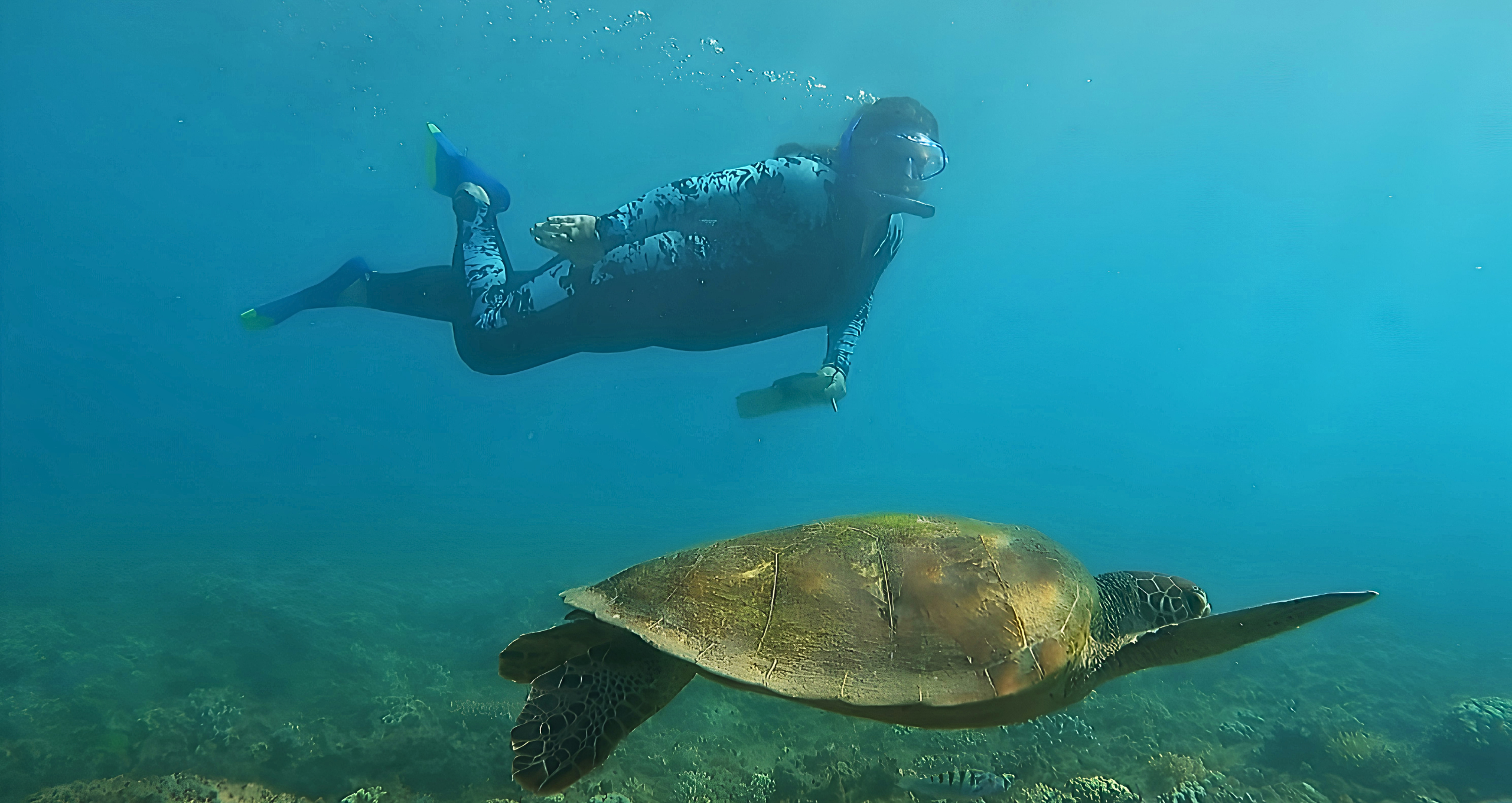 Reef & Rainforest Adventure