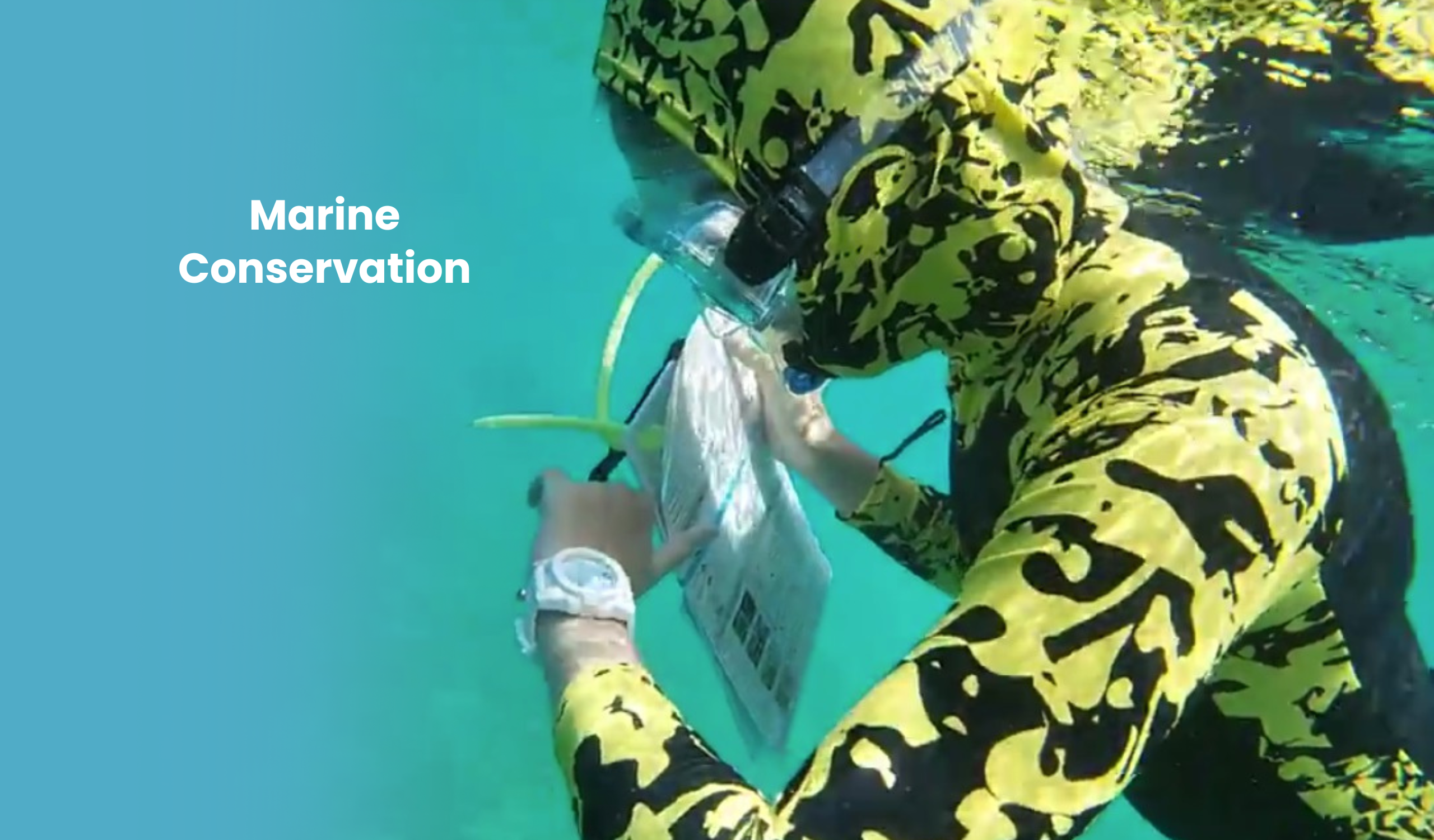 Great Barrier Reef Marine Conservation