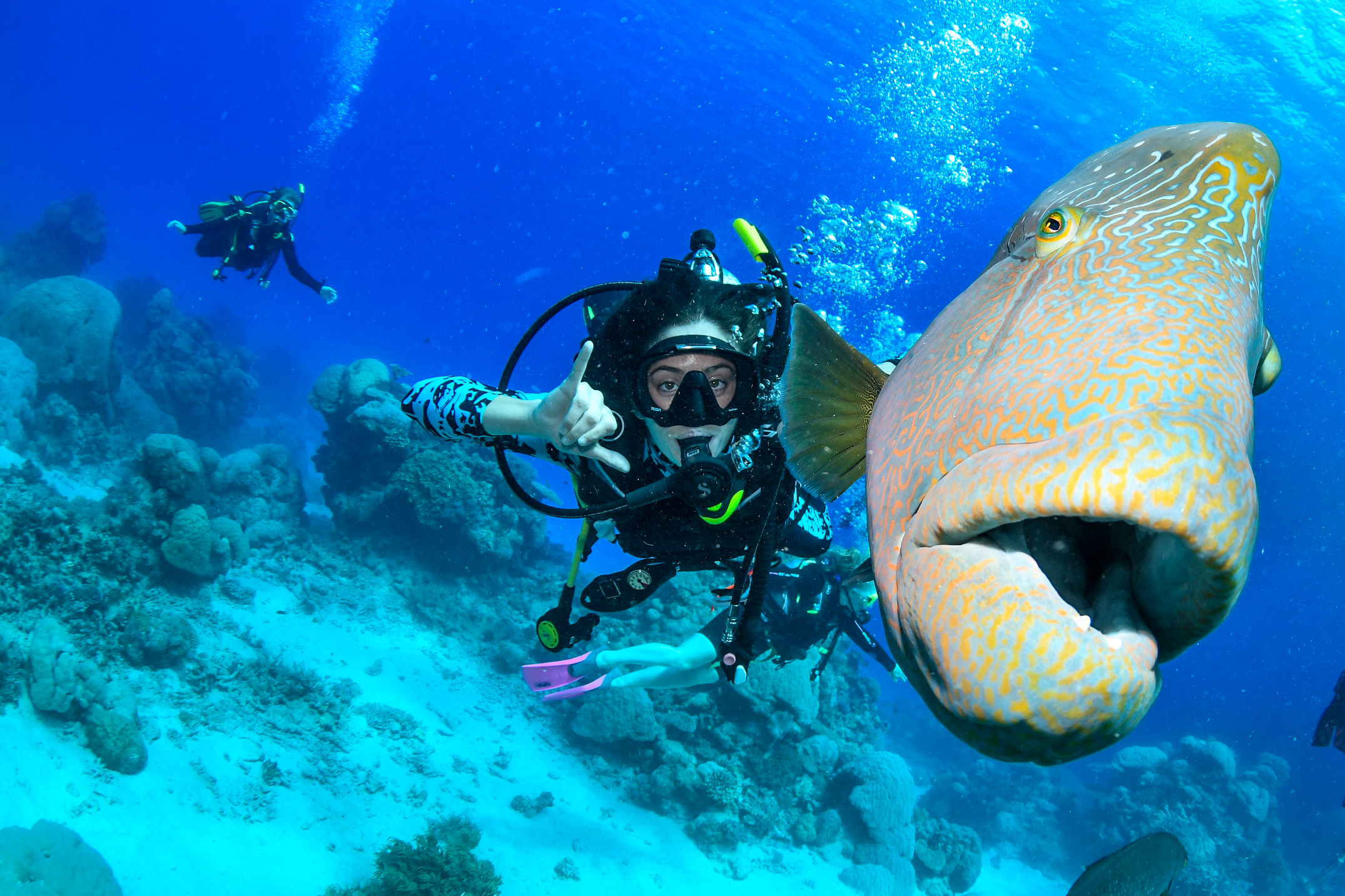 Great Barrier Reef Marine Conservation
