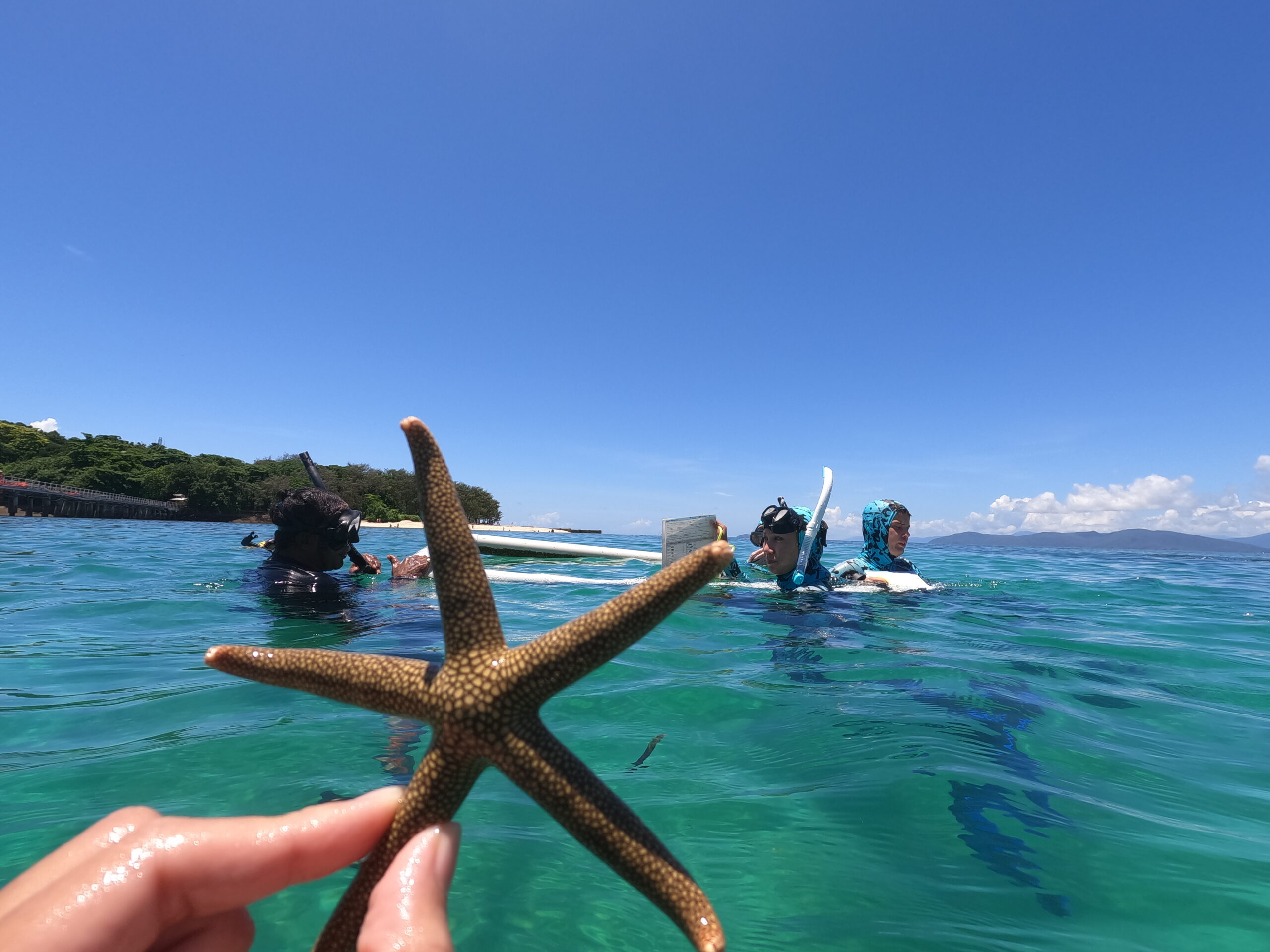 Study marine conservation online, then apply your learning on the Great Barrier Reef
