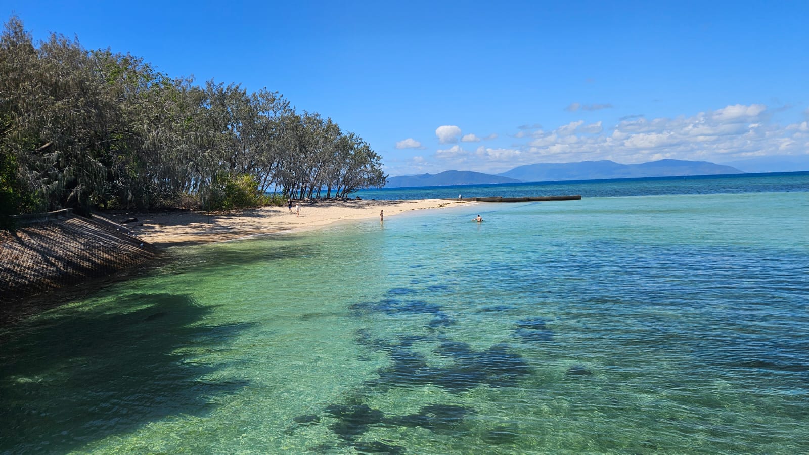 Diploma of Marine Conservation Volunteering