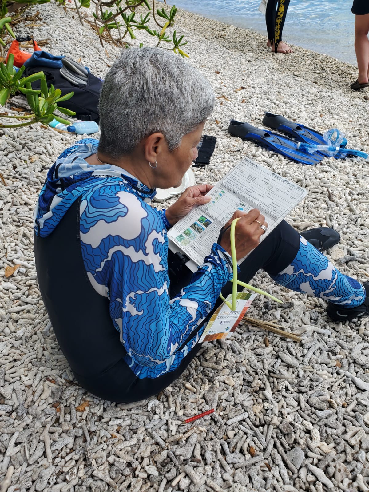 Diploma of Marine Conservation Volunteering