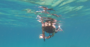 Volunteers supporting Diploma of Marine Conservation Volunteering through ethical conservation project work