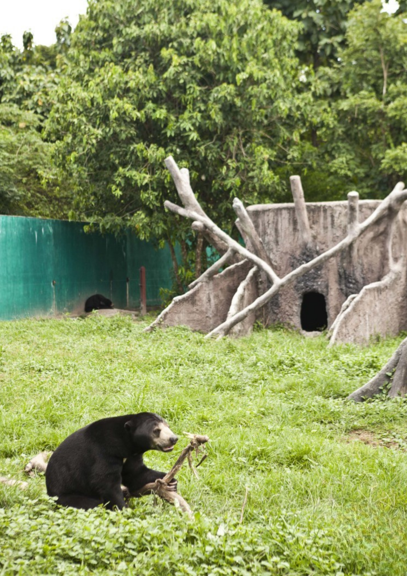 Thai Wildlife Rehabilitation & Care