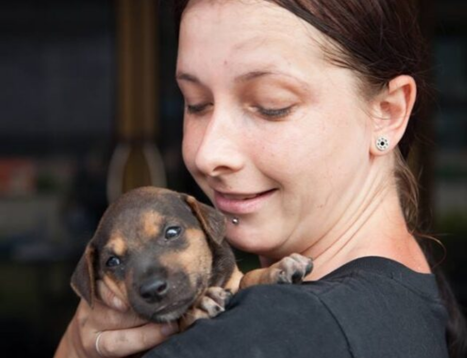 Thai Island Dog & Cat Shelter