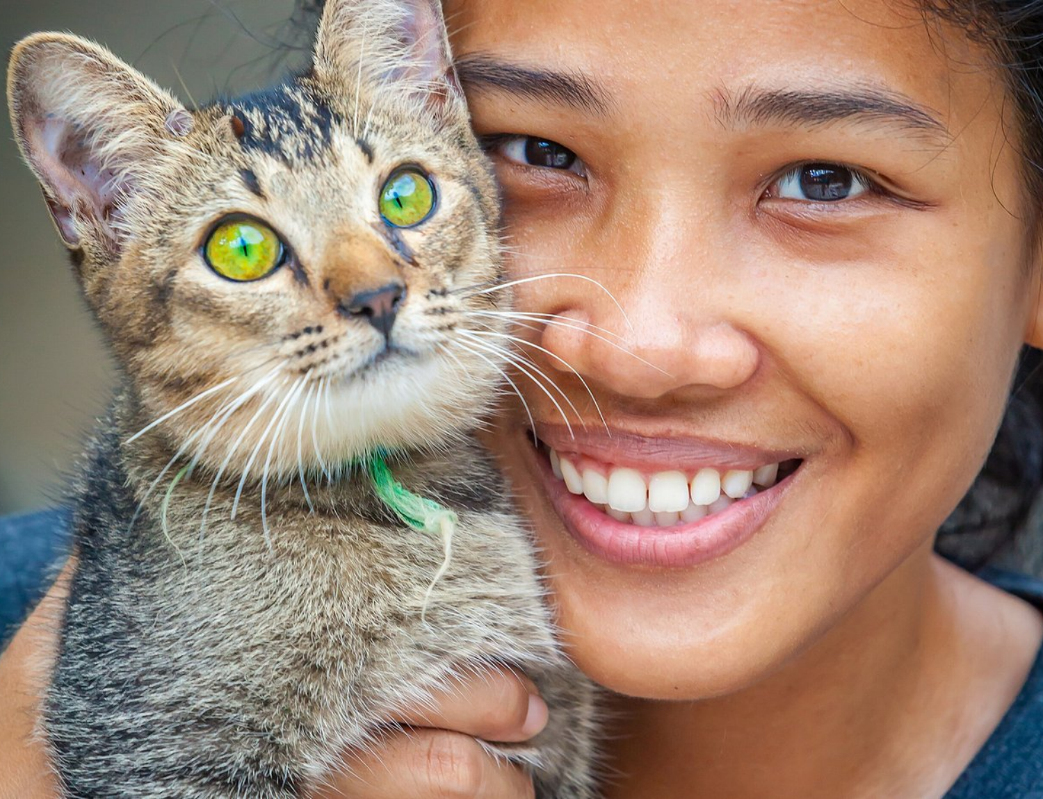 Thai Island Dog & Cat Shelter