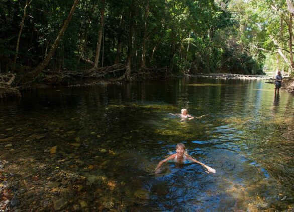 Reef & Rainforest Adventure