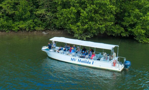 Reef & Rainforest Adventure