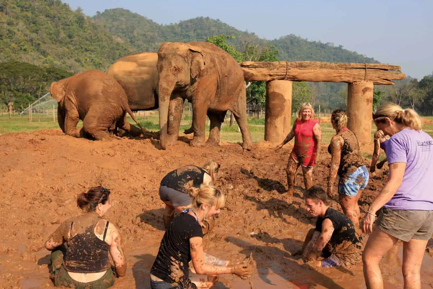 Northern Thailand Elephant Sanctuary
