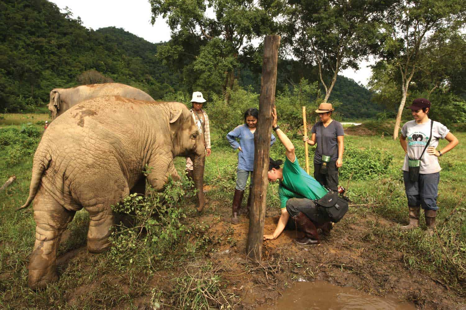 Northern Thailand Elephant Sanctuary