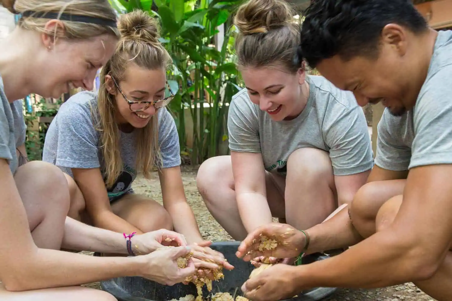 Northern Thailand Elephant Sanctuary