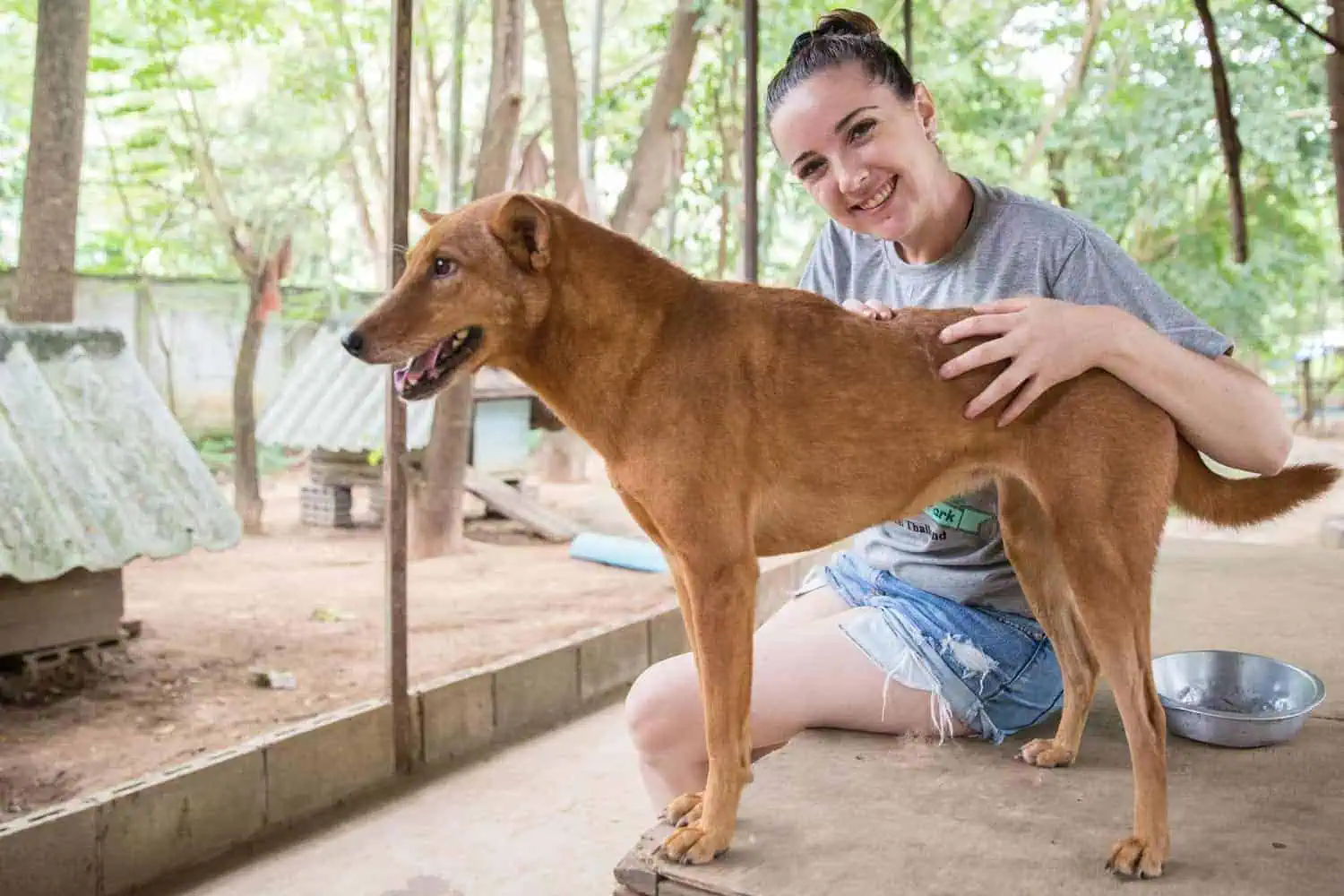 Northern Thailand Elephant Sanctuary
