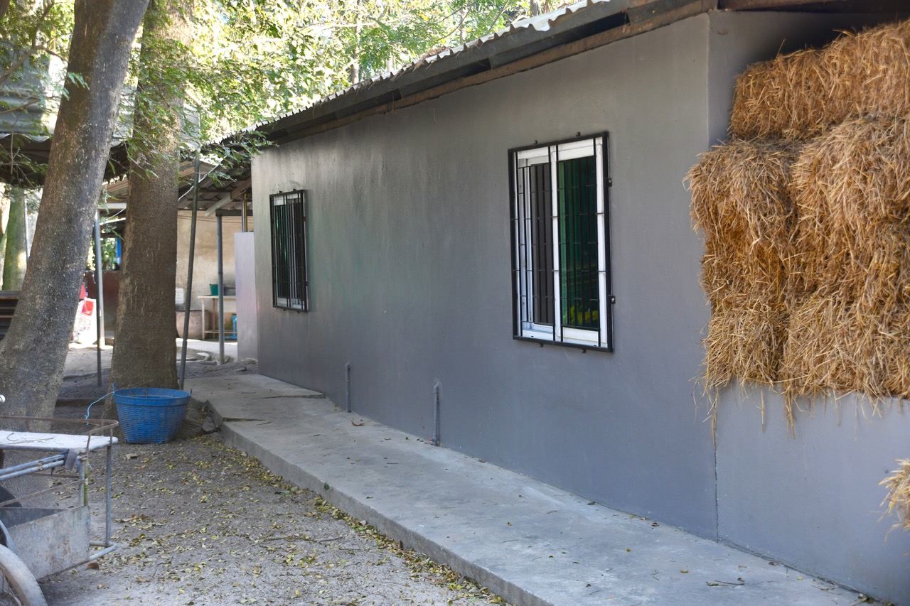 Accommodation & Location
