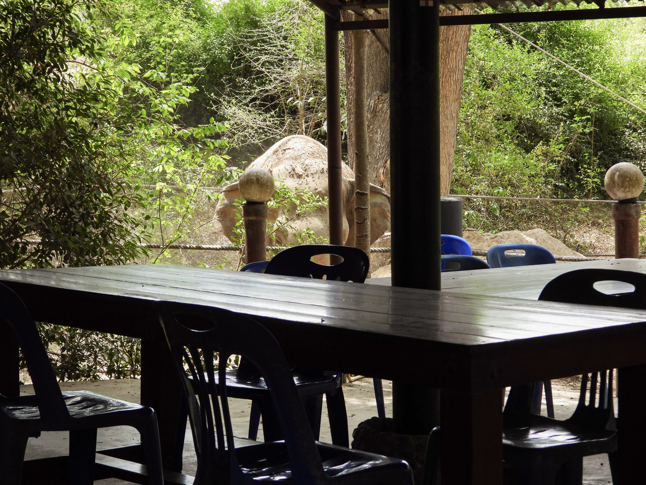 Accommodation & Location