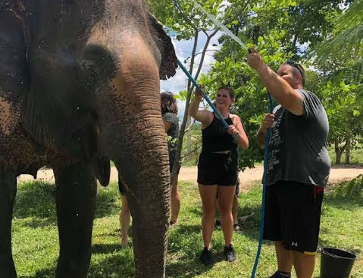Thai Elephant Sanctuary
