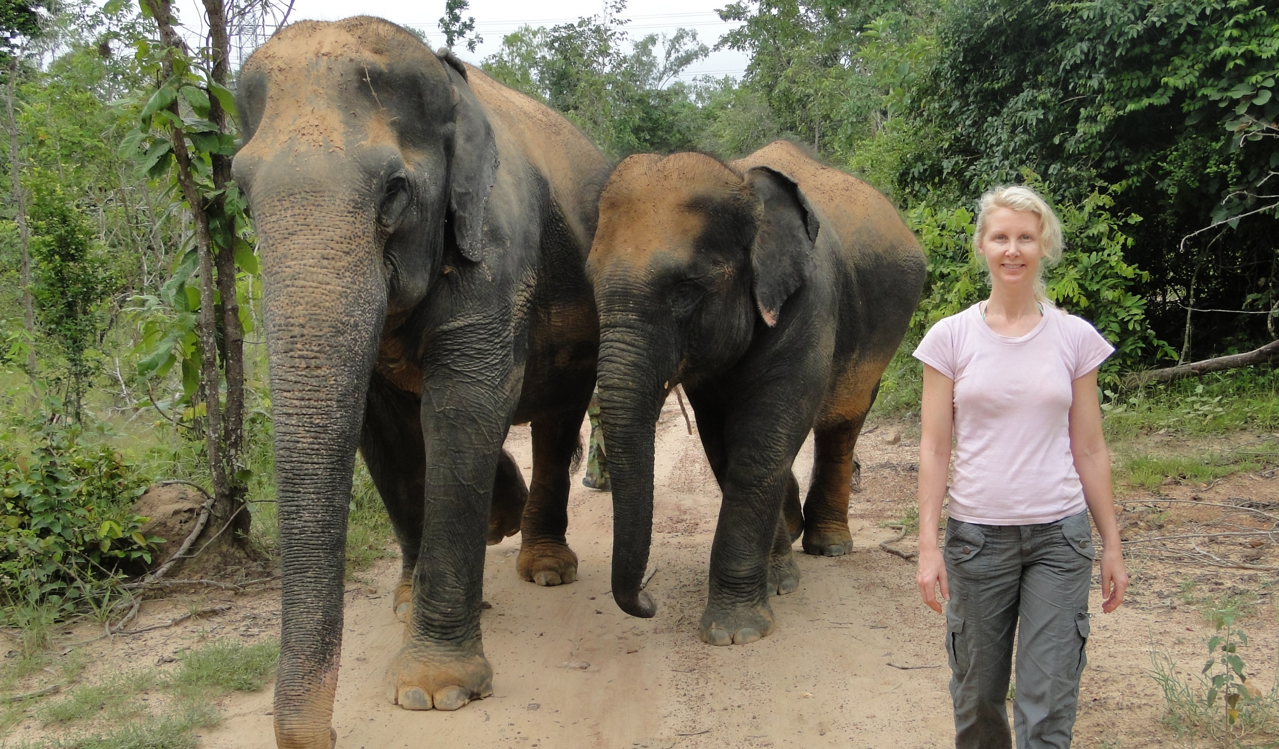 Thai Elephant Sanctuary