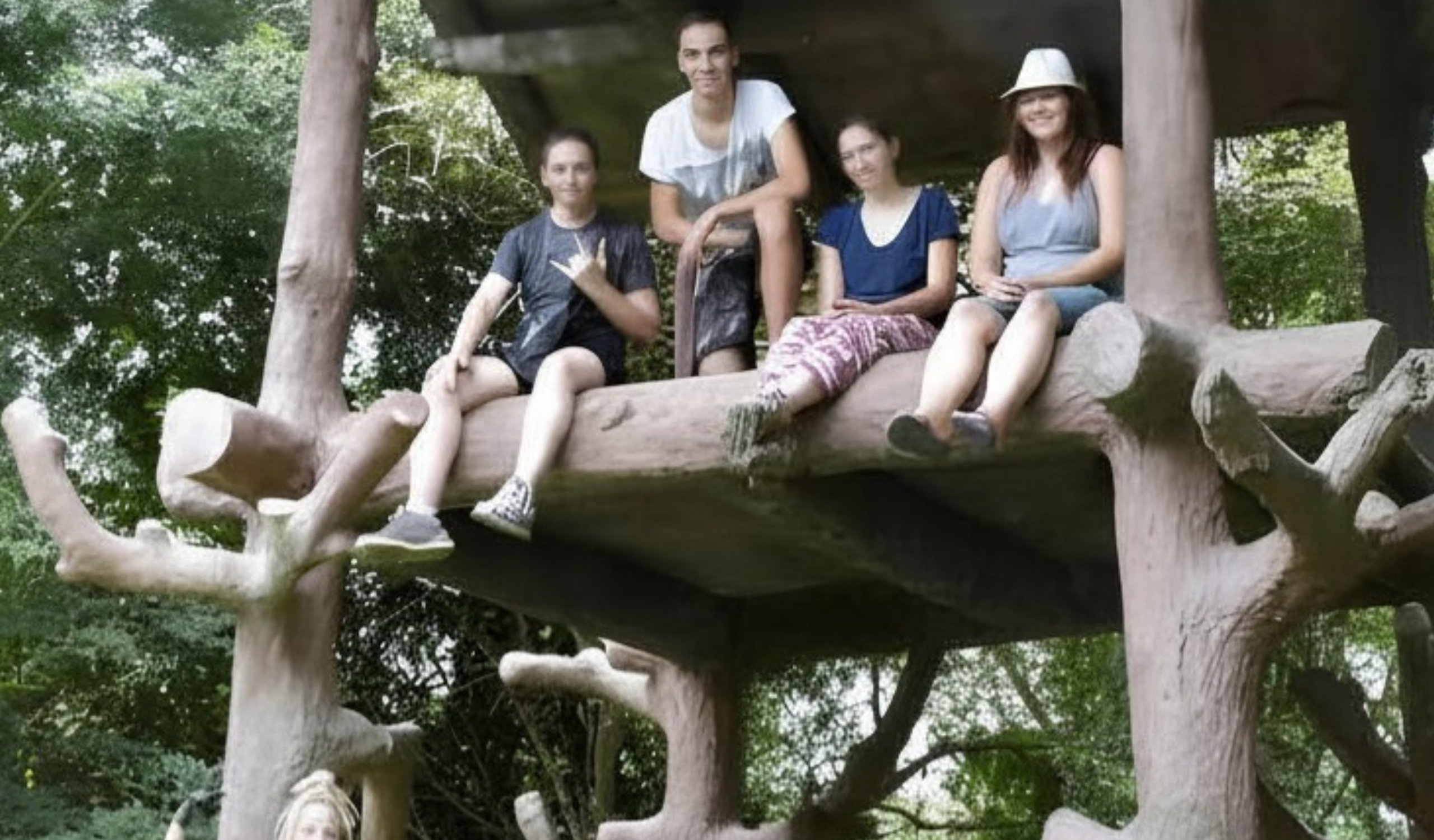 Thai Elephant Sanctuary